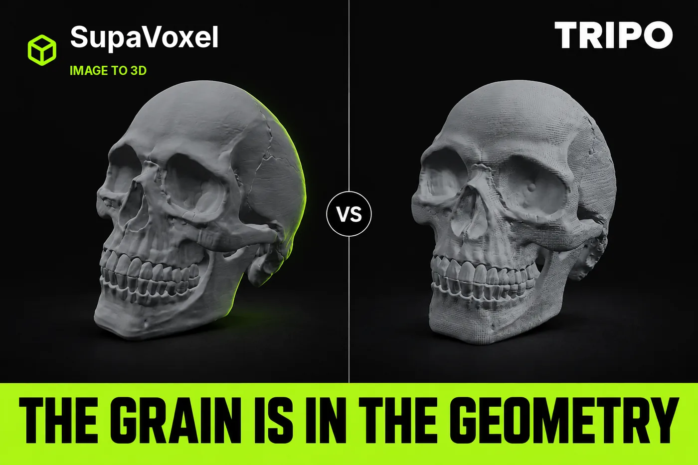 Tripo AI Skull Review 2026: SupaVoxel Comparison